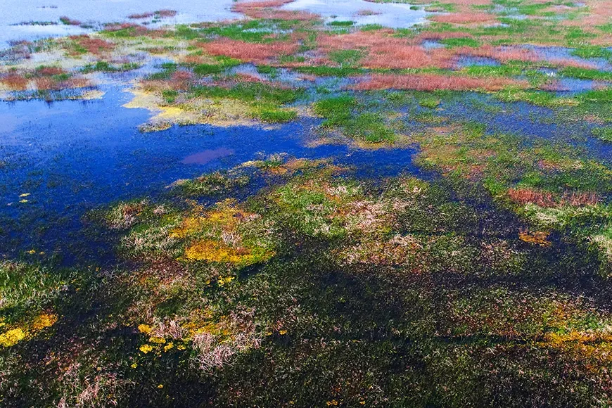 Migratory bird sanctuaries along the coast of yellow sea-bohai gulf china (phase i)